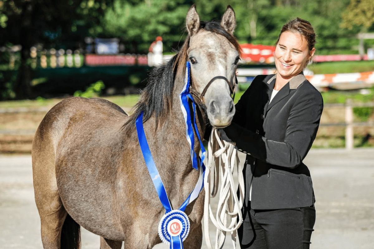 Élevage de Chevaux à Pau​
