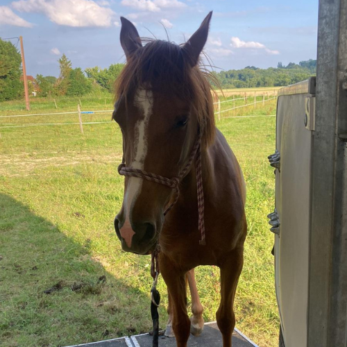 Design sans titre - 2026-03-26T124455.747