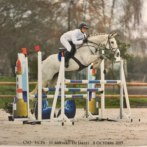 ÉducationTravail du Cheval (1)