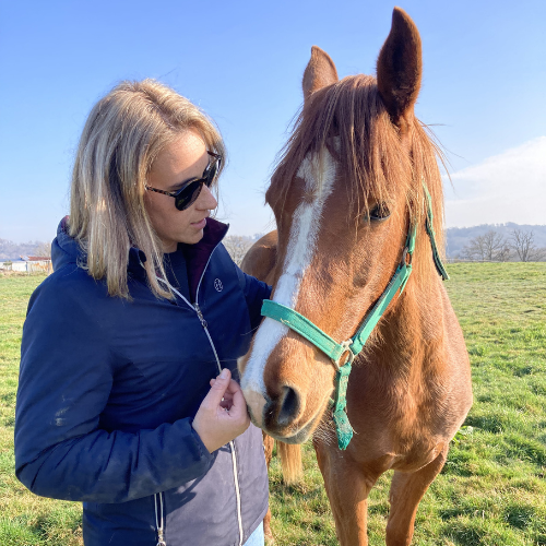 ÉducationTravail du Cheval (6)