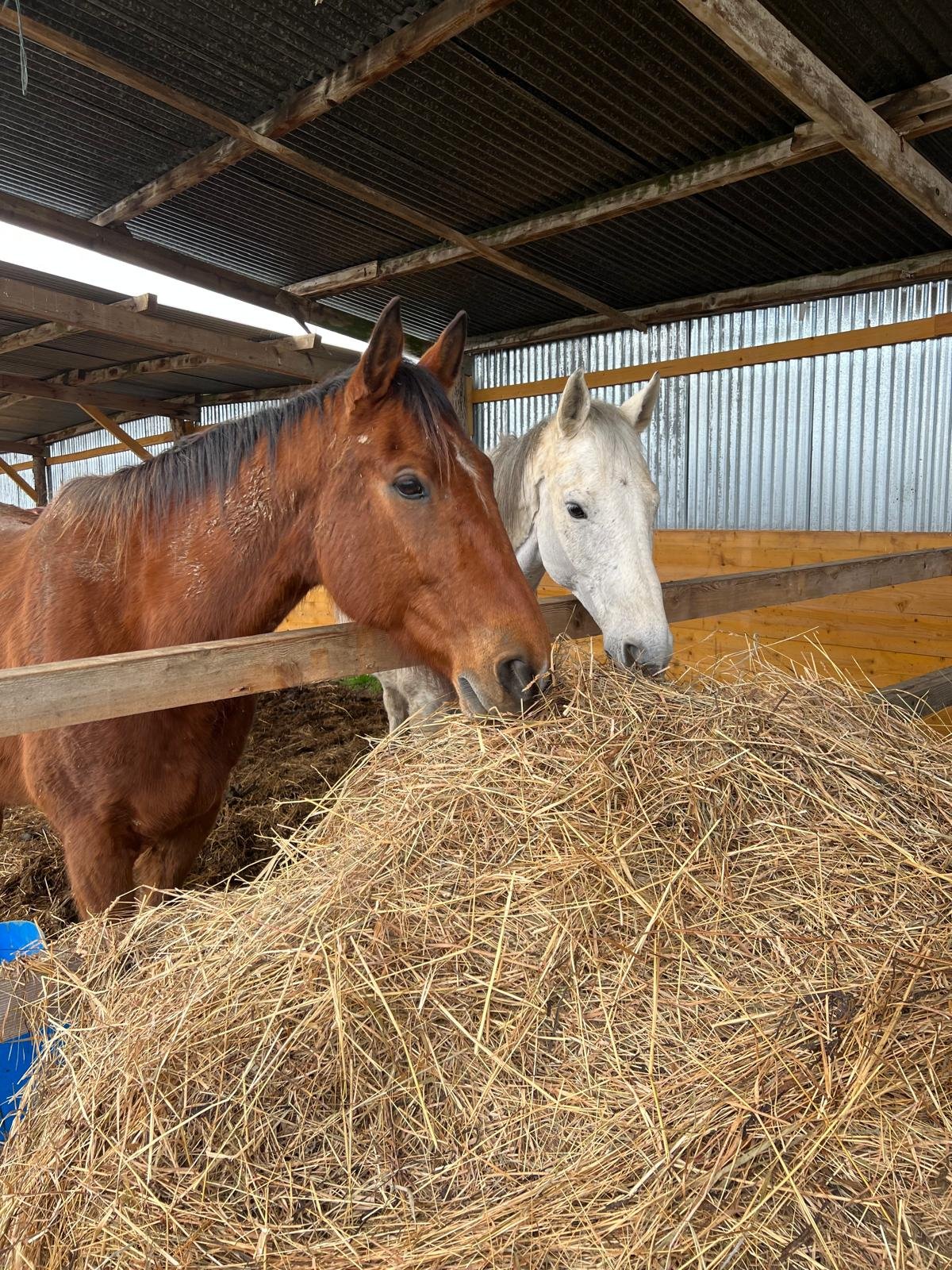 WhatsApp Image 2026-03-12 at 08.38.50 (1)