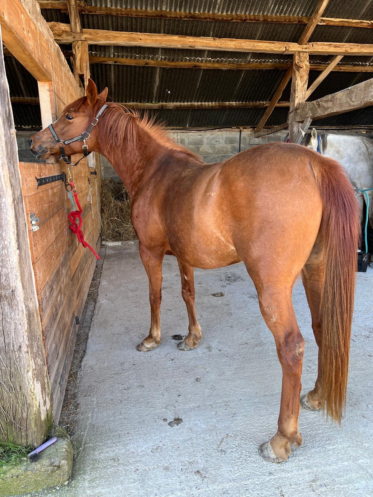 WhatsApp Image 2026-03-25 at 21.10.20 (2)