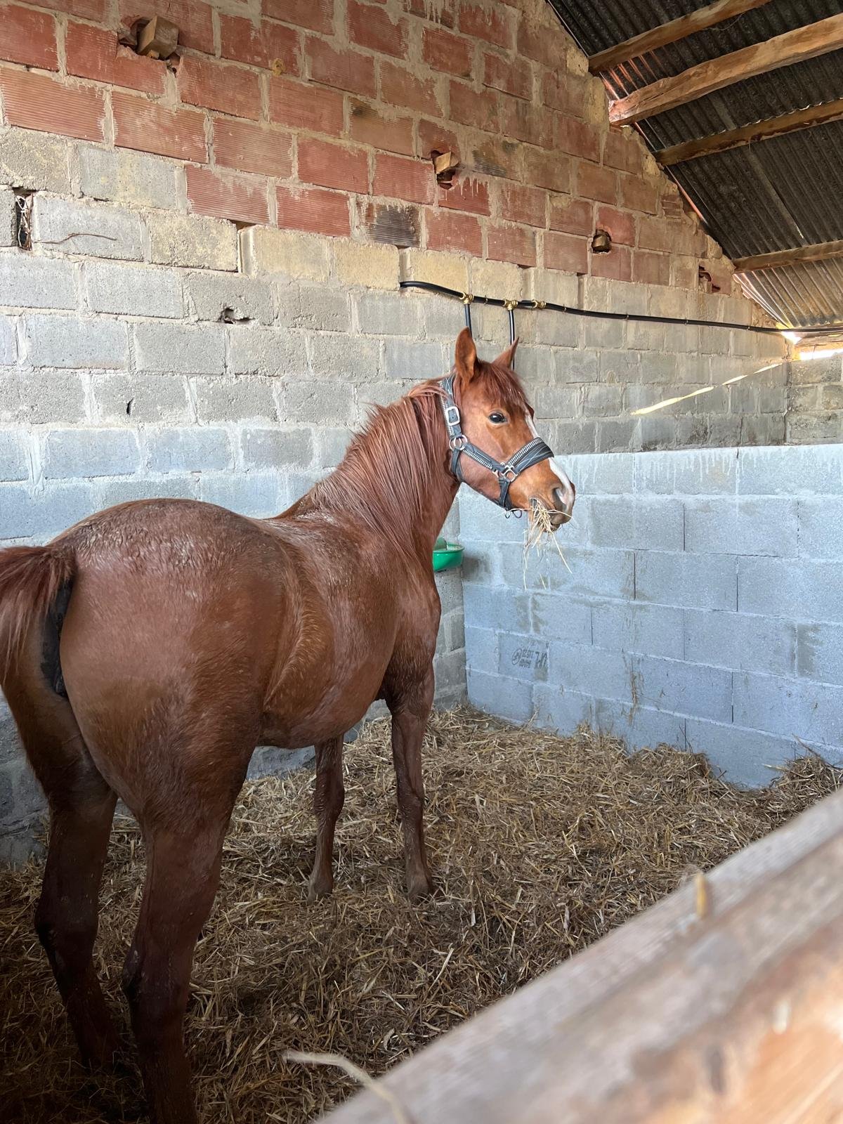 WhatsApp Image 2026-03-25 at 21.10.20