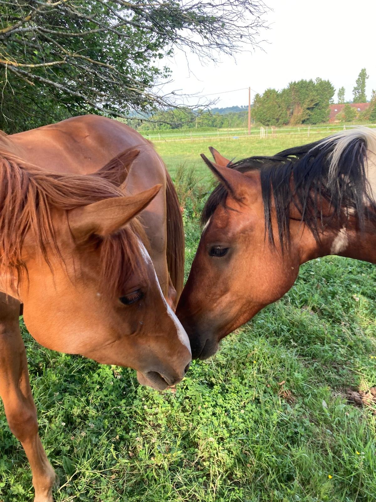 WhatsApp Image 2026-03-25 at 21.12.21 (3)