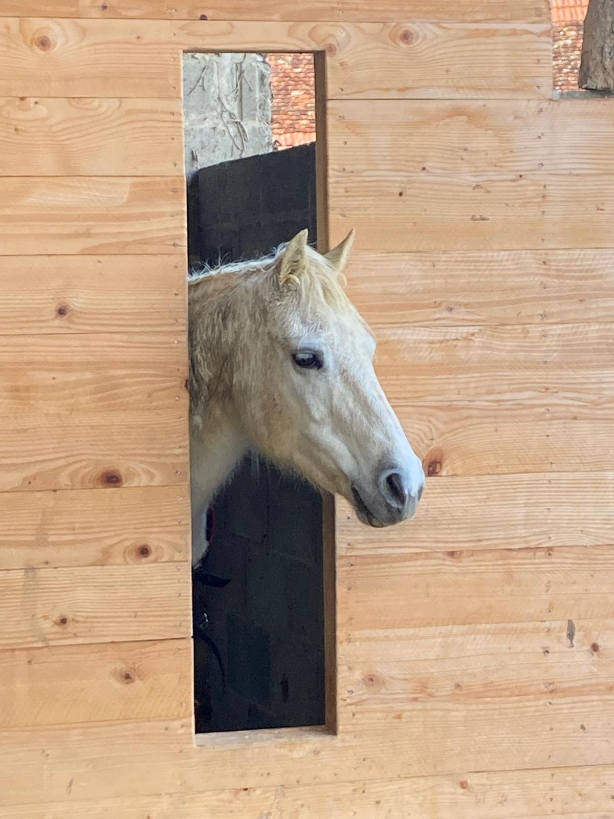 WhatsApp Image 2026-03-30 at 11.40.05